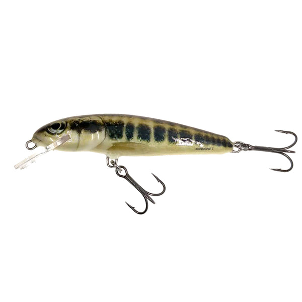 Salmo minnow 7 RBR