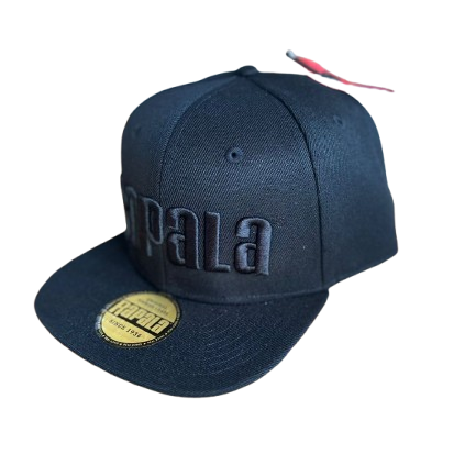 Gorra / Jockey Rapala