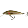 Salmo minnow 7 RBT
